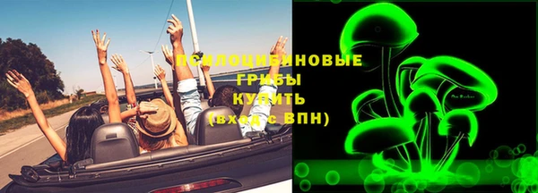 дживик Абинск