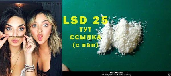 хмурый Абаза