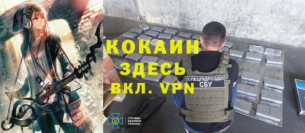 дживик Абинск