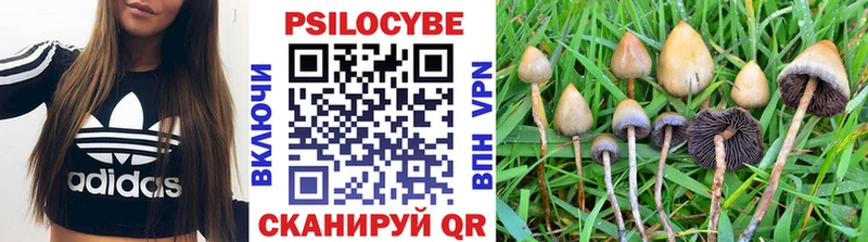 Псилоцибиновые грибы мухоморы Холмск